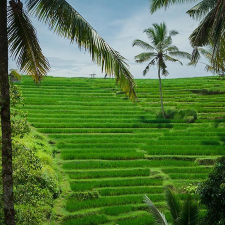 Be Bali Stay Ubud Exteriör bild