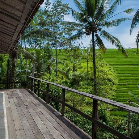 Be Bali Stay Ubud Exteriör bild