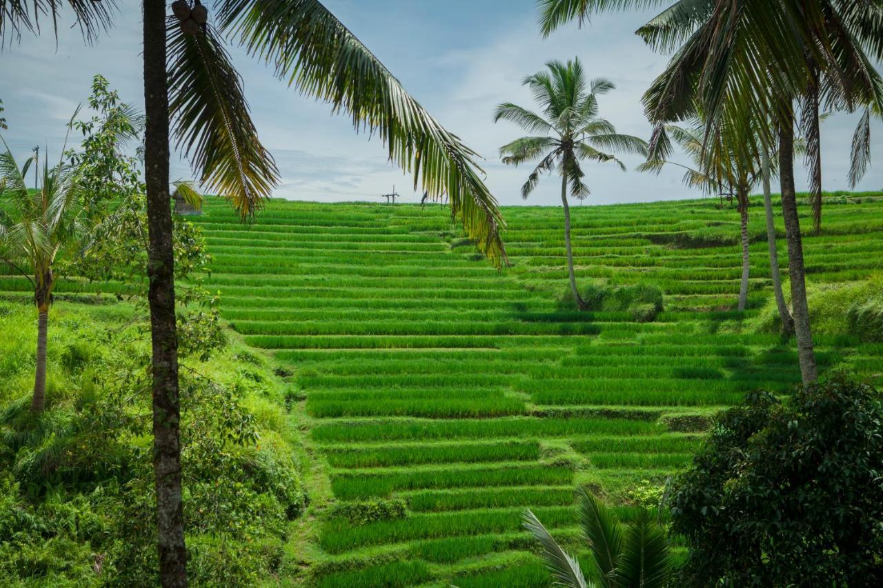 Be Bali Stay Ubud Exteriör bild