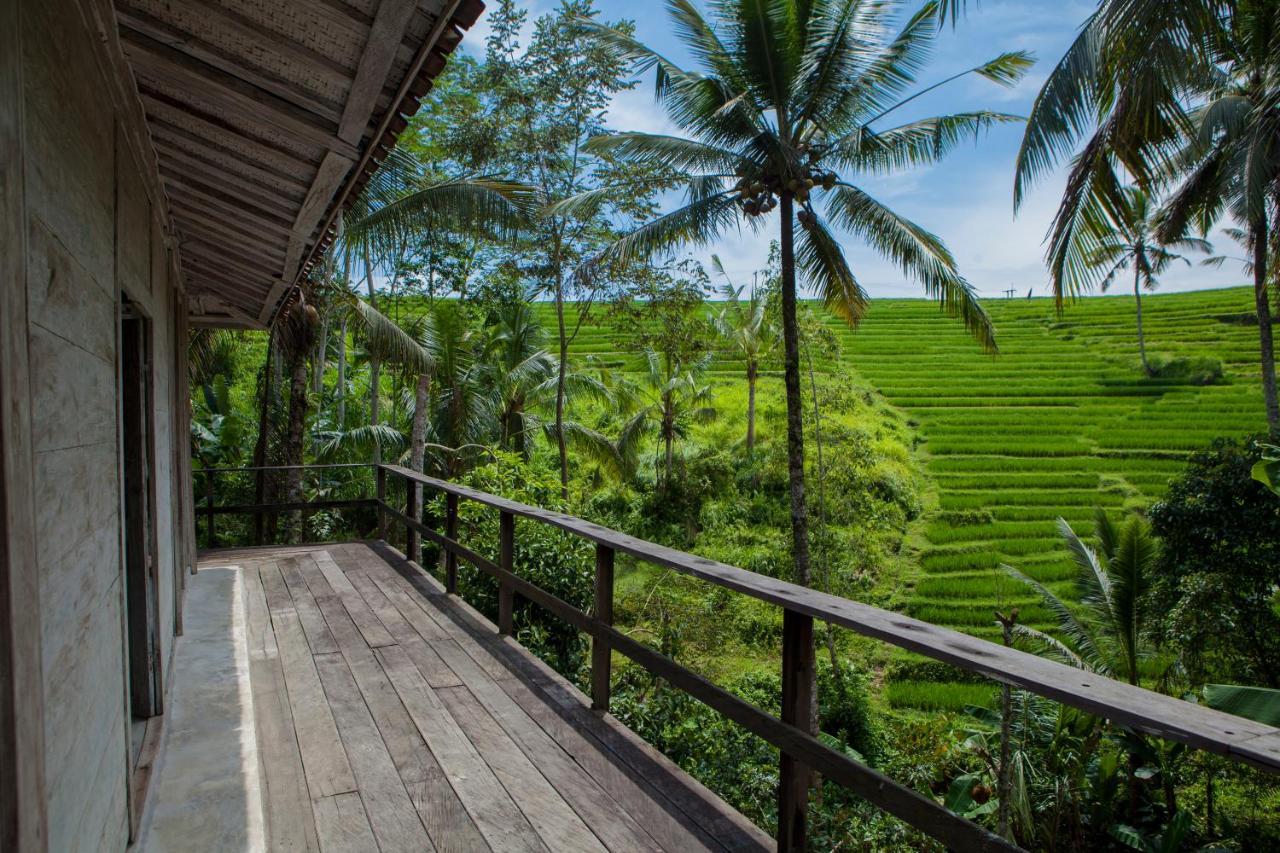 Be Bali Stay Ubud Exteriör bild
