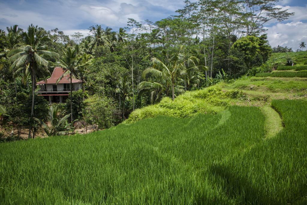 Be Bali Stay Ubud Exteriör bild
